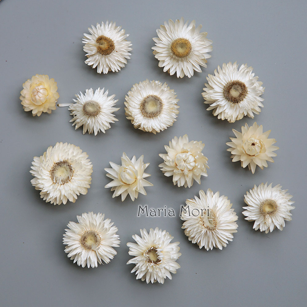 Natural Dried Colorful Chrysan - огляд і ціна Holiday Candle Set