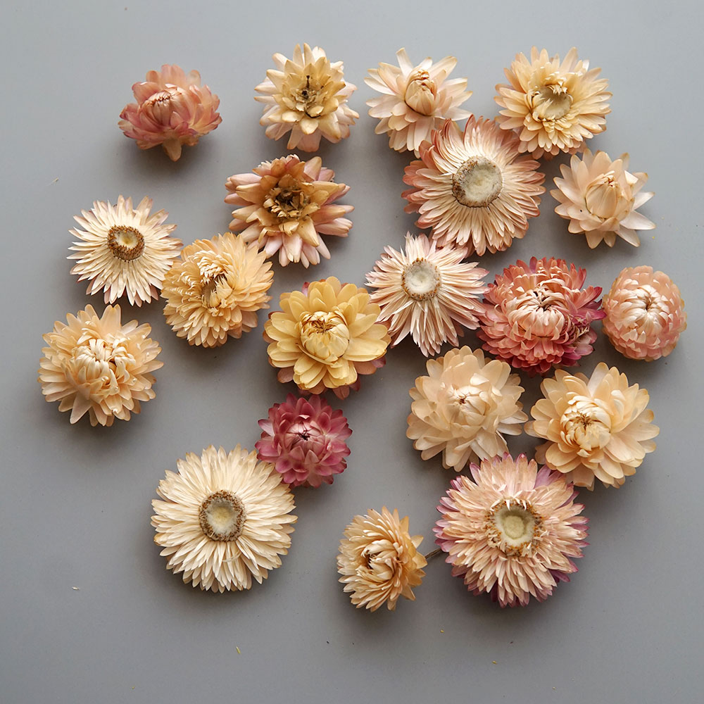 Natural Dried Colorful Chrysan - огляд і ціна Holiday Candle Set